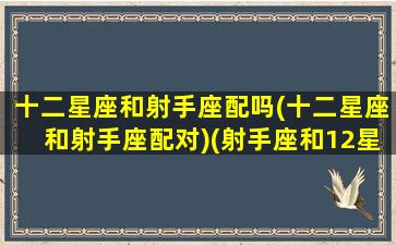 十二星座和射手座配吗(十二星座和射手座配对)(射手座和12星座)