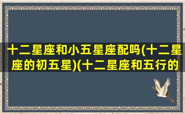 十二星座和小五星座配吗(十二星座的初五星)(十二星座和五行的关系)