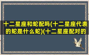 十二星座和蛇配吗(十二星座代表的蛇是什么蛇)(十二星座配对的动物)