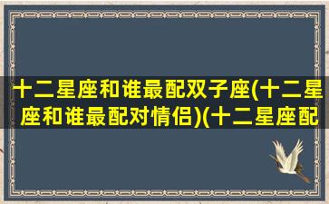 十二星座和谁最配双子座(十二星座和谁最配对情侣)(十二星座配对双子女)