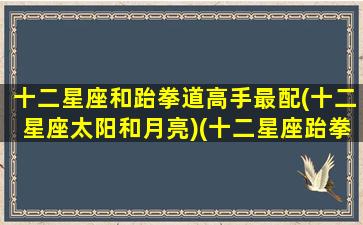 十二星座和跆拳道高手最配(十二星座太阳和月亮)(十二星座跆拳道黑带排名)