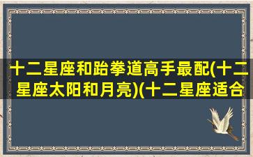 十二星座和跆拳道高手最配(十二星座太阳和月亮)(十二星座适合什么拳)