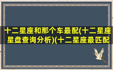 十二星座和那个车最配(十二星座星盘查询分析)(十二星座最匹配的豪车或跑车)
