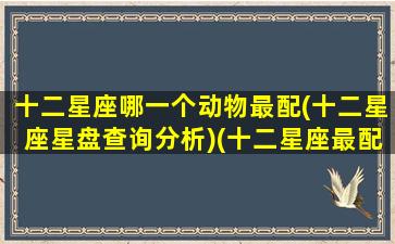 十二星座哪一个动物最配(十二星座星盘查询分析)(十二星座最配的动物)