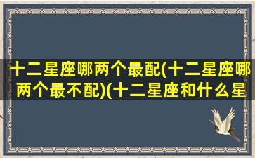 十二星座哪两个最配(十二星座哪两个最不配)(十二星座和什么星座最不配)