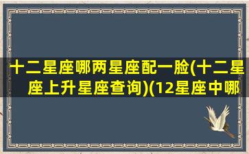 十二星座哪两星座配一脸(十二星座上升星座查询)(12星座中哪两个星座最相配)