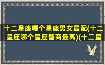 十二星座哪个星座男女最配(十二星座哪个星座智商最高)(十二星座哪个星座男比较好)