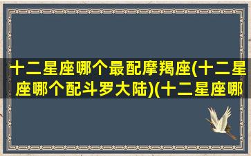 十二星座哪个最配摩羯座(十二星座哪个配斗罗大陆)(十二星座哪个星座最搭配)