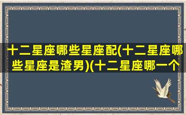 十二星座哪些星座配(十二星座哪些星座是渣男)(十二星座哪一个星座是渣男)