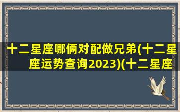 十二星座哪俩对配做兄弟(十二星座运势查询2023)(十二星座兄弟搭配)