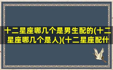 十二星座哪几个是男生配的(十二星座哪几个是人)(十二星座配什么男人)