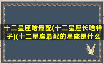 十二星座啥最配(十二星座长啥样子)(十二星座最配的星座是什么星座)