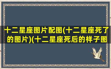 十二星座图片配图(十二星座死了的图片)(十二星座死后的样子图片)