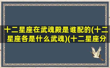 十二星座在武魂殿是谁配的(十二星座各是什么武魂)(十二星座分别的武魂)