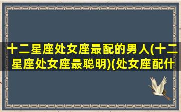 十二星座处女座最配的男人(十二星座处女座最聪明)(处女座配什么星座最好男)