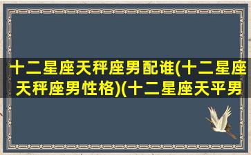 十二星座天秤座男配谁(十二星座天秤座男性格)(十二星座天平男)