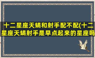 十二星座天蝎和射手配不配(十二星座天蝎射手是早点起来的星座吗)(天蝎和射手适合什么关系)