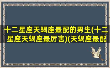 十二星座天蝎座最配的男生(十二星座天蝎座最厉害)(天蝎座最配什么星座配对)