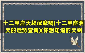 十二星座天蝎配摩羯(十二星座明天的运势查询)(你想知道的天蝎配摩羯(上)
