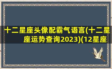 十二星座头像配霸气语言(十二星座运势查询2023)(12星座头像男生霸气冷酷)