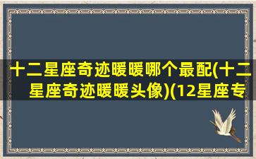 十二星座奇迹暖暖哪个最配(十二星座奇迹暖暖头像)(12星座专属奇迹暖暖古风套装图片)