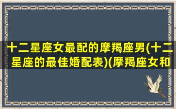 十二星座女最配的摩羯座男(十二星座的最佳婚配表)(摩羯座女和什么星座最配男朋友)
