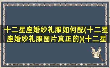 十二星座婚纱礼服如何配(十二星座婚纱礼服图片真正的)(十二星座专属婚纱礼服)