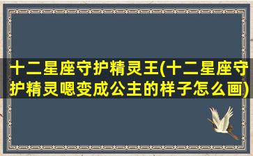 十二星座守护精灵王(十二星座守护精灵嗯变成公主的样子怎么画)