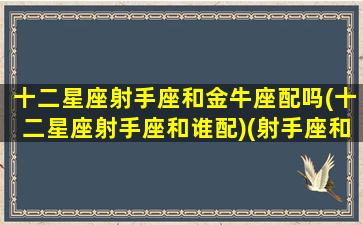 十二星座射手座和金牛座配吗(十二星座射手座和谁配)(射手座和金牛星座最配对)