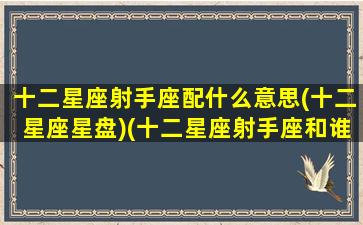 十二星座射手座配什么意思(十二星座星盘)(十二星座射手座和谁配)