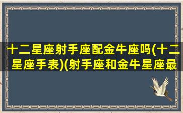 十二星座射手座配金牛座吗(十二星座手表)(射手座和金牛星座最配吗)