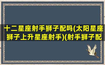 十二星座射手狮子配吗(太阳星座狮子上升星座射手)(射手狮子配不配)