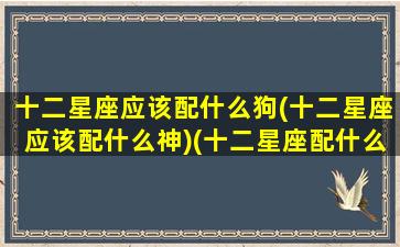 十二星座应该配什么狗(十二星座应该配什么神)(十二星座配什么样的男生)