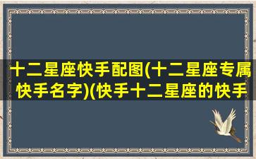 十二星座快手配图(十二星座专属快手名字)(快手十二星座的快手名适合叫什么)