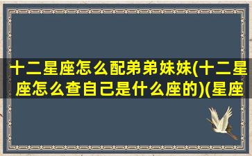 十二星座怎么配弟弟妹妹(十二星座怎么查自己是什么座的)(星座姐弟)