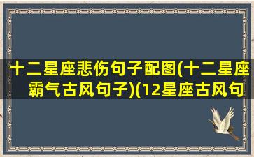 十二星座悲伤句子配图(十二星座霸气古风句子)(12星座古风句子虐心)