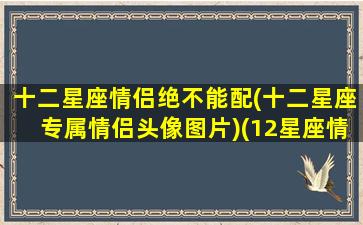 十二星座情侣绝不能配(十二星座专属情侣头像图片)(12星座情侣头像)