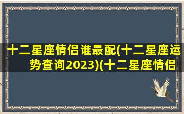 十二星座情侣谁最配(十二星座运势查询2023)(十二星座情侣最佳配对)