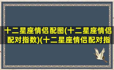 十二星座情侣配图(十二星座情侣配对指数)(十二星座情侣配对指数表)