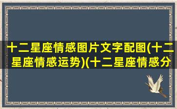 十二星座情感图片文字配图(十二星座情感运势)(十二星座情感分析)