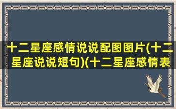 十二星座感情说说配图图片(十二星座说说短句)(十二星座感情表)