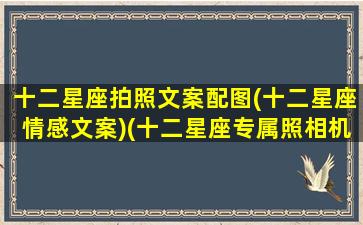 十二星座拍照文案配图(十二星座情感文案)(十二星座专属照相机)