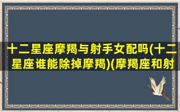 十二星座摩羯与射手女配吗(十二星座谁能除掉摩羯)(摩羯座和射手座他们如果在一起了会有什么性格特点吗)