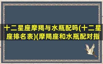 十二星座摩羯与水瓶配吗(十二星座排名表)(摩羯座和水瓶配对指数)