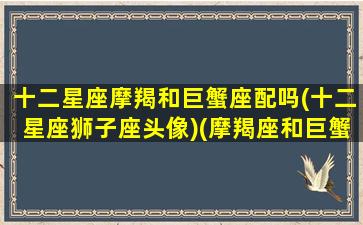 十二星座摩羯和巨蟹座配吗(十二星座狮子座头像)(摩羯座和巨蟹配不配)