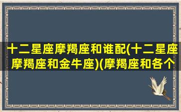 十二星座摩羯座和谁配(十二星座摩羯座和金牛座)(摩羯座和各个星座匹配率)