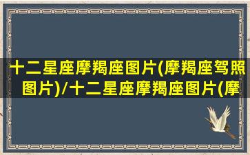 十二星座摩羯座图片(摩羯座驾照图片)/十二星座摩羯座图片(摩羯座驾照图片)-我的网站