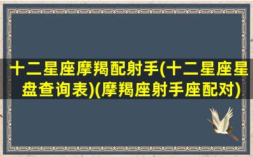 十二星座摩羯配射手(十二星座星盘查询表)(摩羯座射手座配对)