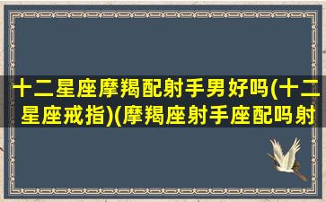 十二星座摩羯配射手男好吗(十二星座戒指)(摩羯座射手座配吗射手男摩羯女)