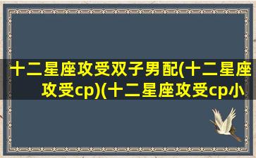 十二星座攻受双子男配(十二星座攻受cp)(十二星座攻受cp小说)